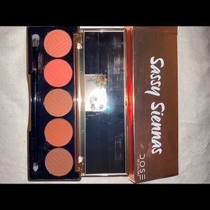 Sassy siennas eyeshadow palette🧡